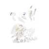 Husky
