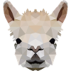 Alpaca Polygon