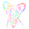 Chihuahua Longhair Chiwawa