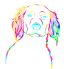 Petit Münsterländer