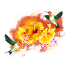 Fleur2