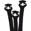 Nandu, ostrich head, emu, ostrich