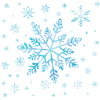 Snowflakes and Ice Crystals