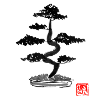bonzai