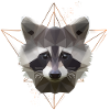 Low Poly Art Procione Racoon Cool Polygon