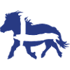 Shetty Power flag design