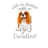 Cavalier King Charles Spaniel