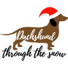 Dachshund through the snow