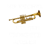 Trompete Spruch