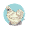 White silk hen