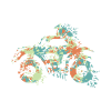 Quad ATV Splash