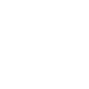 Nuit du poney Shetland