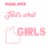 Ice Hockey Ice Hockey Girls