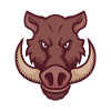 Wild Boar