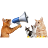 Katzengesetz
