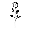 Black Rose