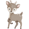 Deer fawn