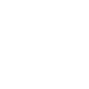 Brother brosaurus dino brothers gift