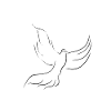 Dove symbol of peace