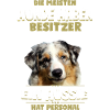 Australian Shepherd - Aussie Hund