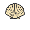 shell
