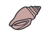 shell