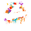 Skater