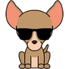 chihuahua cool