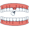 Dentition dent bouche