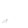 Arbre et renard