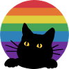 Regenbogen Katze