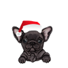 french bulldog christmas gift idea