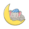 Elephant Moon