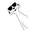 Meerkat funny with sunglasses