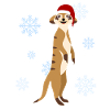 Meerkat Christmas Santa Hat