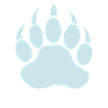 Bear Claw