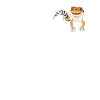 Leopard Gecko