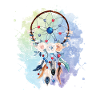 Dream catcher