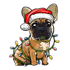 Bouledogue français Noël chiens cadeau