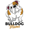 English bulldog