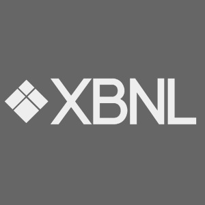 XBNL Reflect