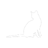 White Cat