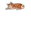 Shiba Inu