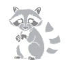 racoon