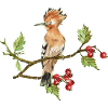 Bunter Vogel