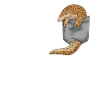 Pangolin gift pangolin tshirt pangolin