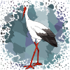 Stork