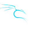 Kali Linux Dragon