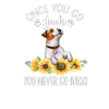 Jack Russell