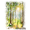 Wonder Forest, Forest
